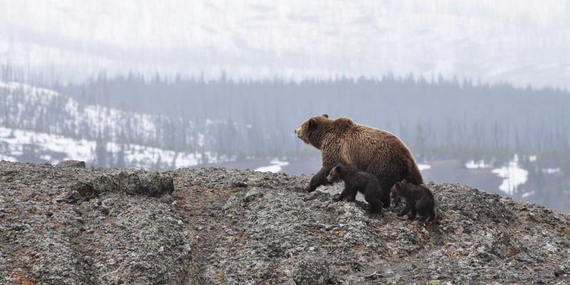 台州盛丰9：注塑模具与精密模具制造的行业标杆