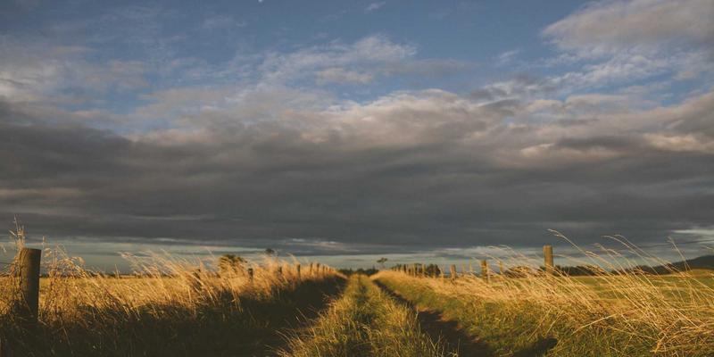 台州盛丰：从塑料零件定制到绿色智造，探索模具加工行业的可持续发展路径