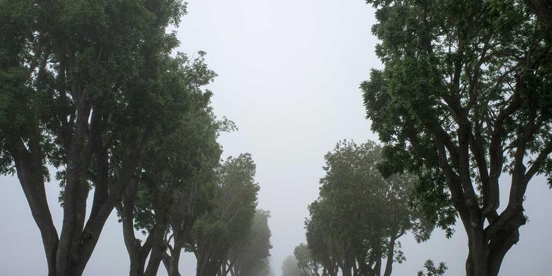 台州盛丰发展：深耕塑料零件定制领域，以创新与品质驱动塑料制品未来