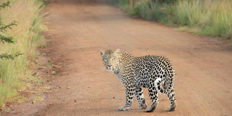 台州盛丰如何以精密模具加工与定制化塑料零件，领跑汽车电子连接器赛道