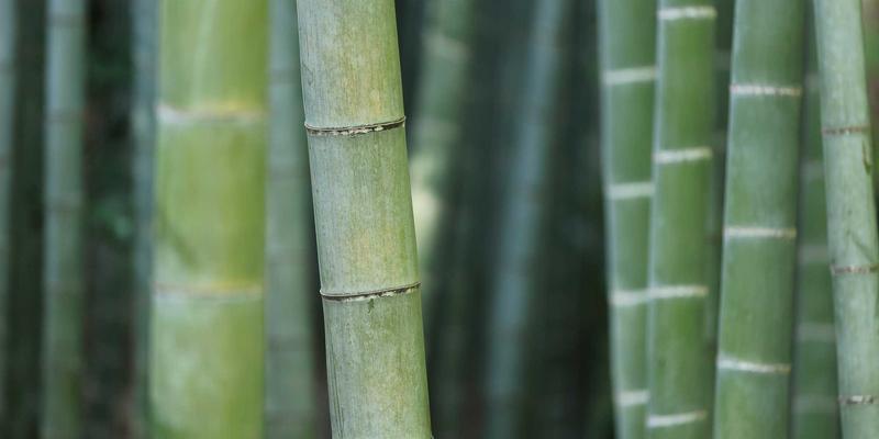 台州盛丰如何运用CAE模流分析优化精密模具设计，提前规避塑料制品缺陷