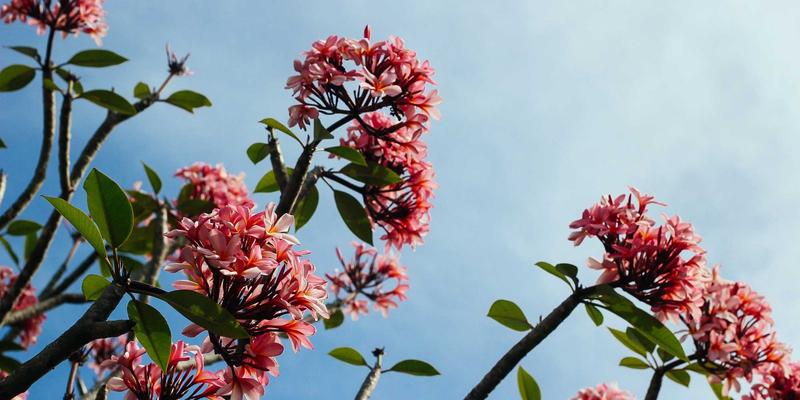 台州盛丰技巧：揭秘塑料零件定制与模具加工的核心竞争力