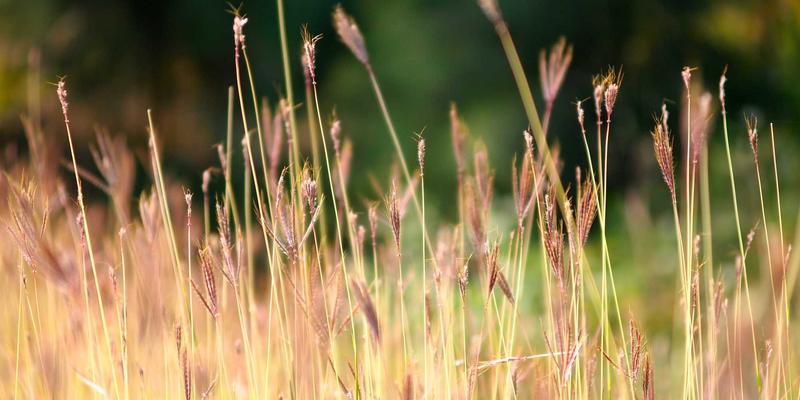 台州盛丰教程:揭秘精密模具加工与塑料零件定制的专业之道