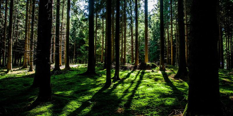 台州盛丰：模具加工与注塑模具供应链管理的卓越实践